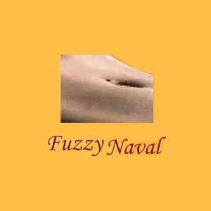 fazzy-naval