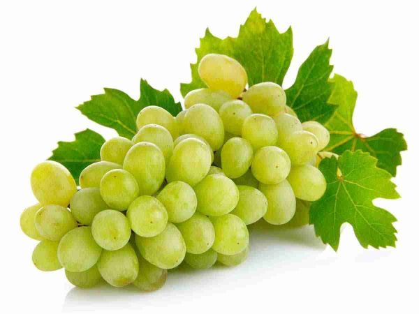 grapes